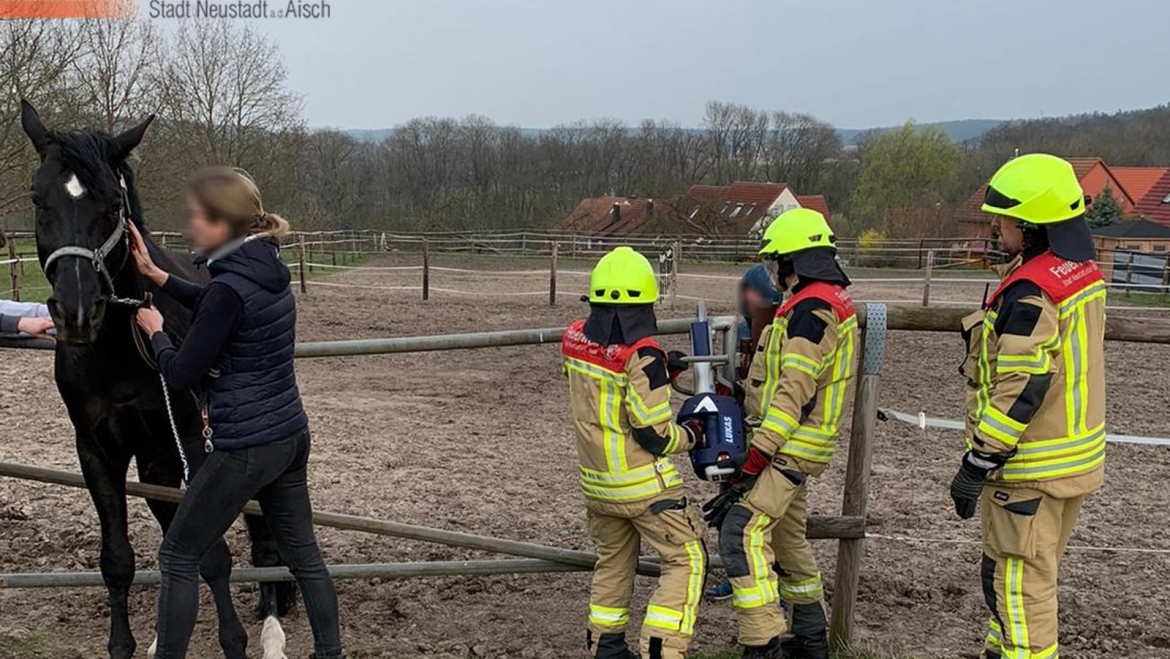 Pferd aus misslicher Lage befreit (20.03.2020, 16:40 Uhr)