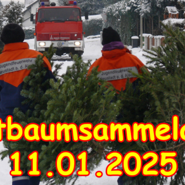 Hinweise zur Christbaumsammelaktion 2025