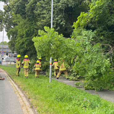 Baum auf Radweg (23.06.2025, 17:15 Uhr)