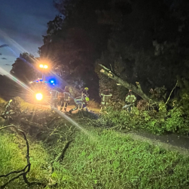 Baum auf Straße (01.08.2025, 21:26 Uhr)