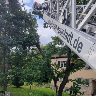 Baum droht auf Straße zu fallen (05.10.2025, 09:14 Uhr)