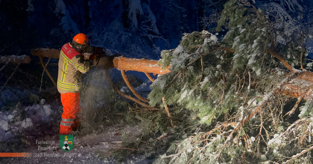 Schneebruch-Einsätze (26./27.01.2026)