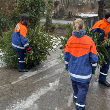 24. Christbaumsammelaktion in Neustadt