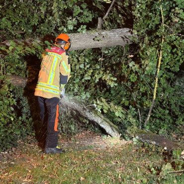 Baum umgestürzt (05.09.2026, 0:55 Uhr)