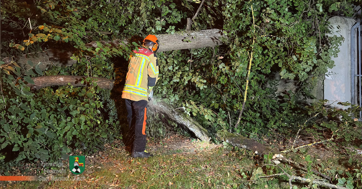 Baum umgestürzt (05.09.2026, 0:55 Uhr)