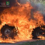 Bild des Monats April 2020