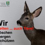 Bild des Monats Dezember 2020