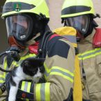 Bild des Monats März 2021