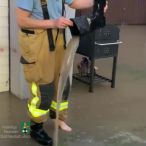 Bild des Monats Juli 2021