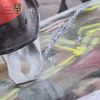 Bild des Monats August 2021