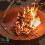 Bild des Monats November 2021