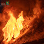 Bild des Monats Januar 2022