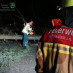 Bild des Monats Februar 2022