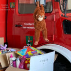 Bild des Monats März 2022