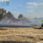 Bild des Monats August 2022