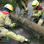 Bild des Monats April 2023