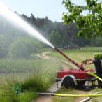 Bild des Monats Juni 2023