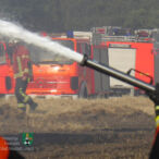 Bild des Monats Juli 2023