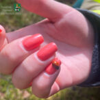 Bild des Monats August 2023