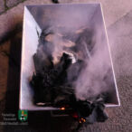 Bild des Monats November 2023