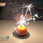 Bild des Monats Januar 2024