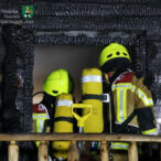 Bild des Monats Dezember 2024