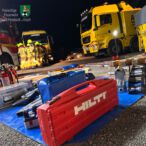 Bild des Monats Januar 2025