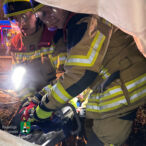 Bild des Monats März 2025