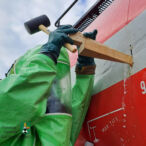 Bild des Monats Mai 2025