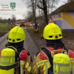 Bild des Monats Dezember 2025