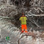 Bild des Monats Februar 2026