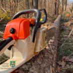 Bild des Monats März 2026